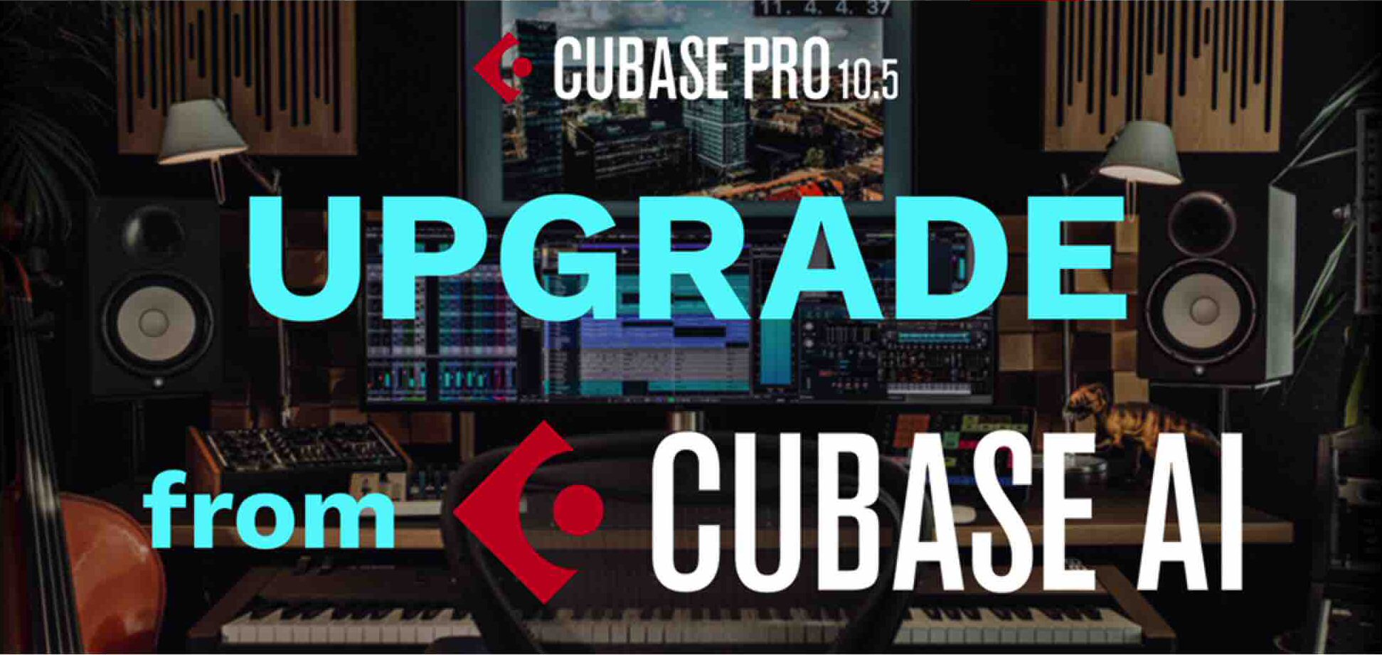 Cubase Pro 10.5 アップグレード版 (USB付属)